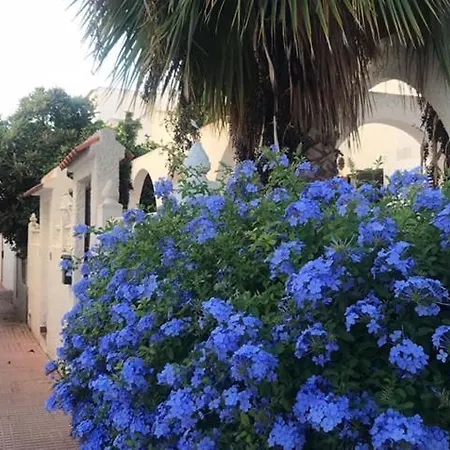 펜션 Corazon 또레비에하