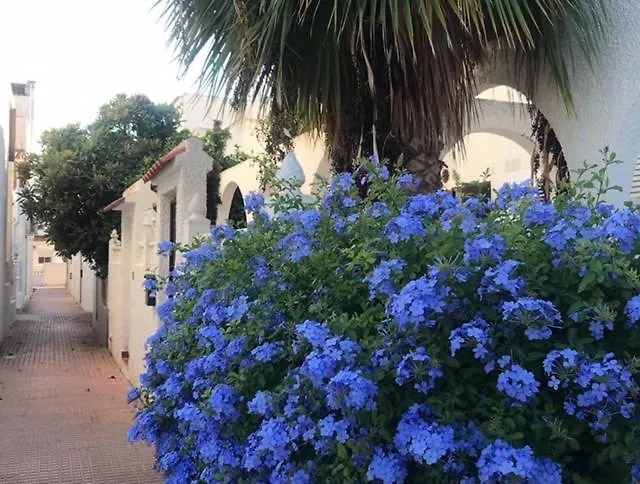 Casa vacanze Corazon Torrevieja